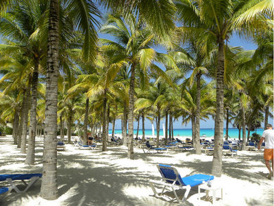 RIU3.jpg