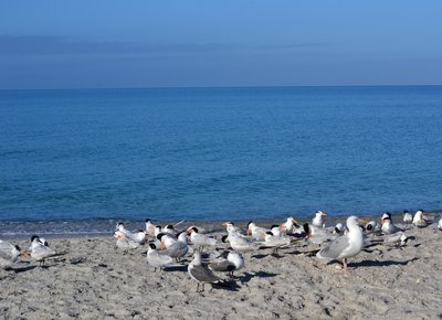 DSC_12481.jpg