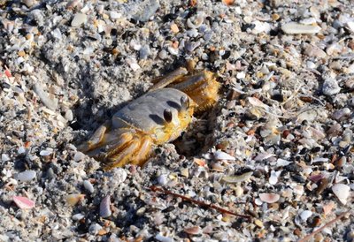 DSC_1309.jpg