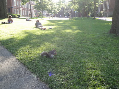 DSC01038_resize.JPG