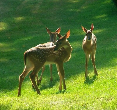 100_2609.jpg