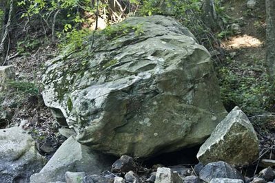 049f.jpg