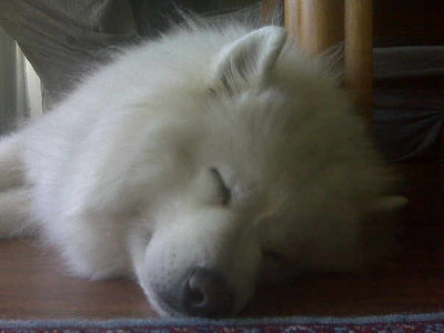 sleeping beauty.jpg