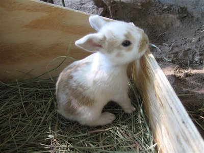 IMG_6427 (Medium).jpg