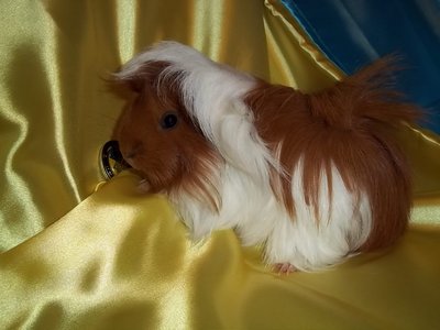 100_5595.JPG