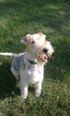 2012-04-29 16.33.52.jpg