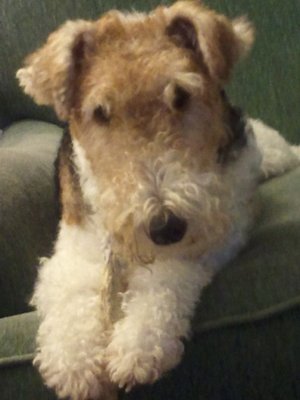 2011-08-27 16.02.37.jpg