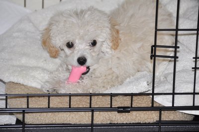 11Jan18-Josie-5127.jpg