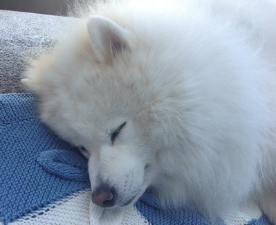 Musik na balkone.jpg