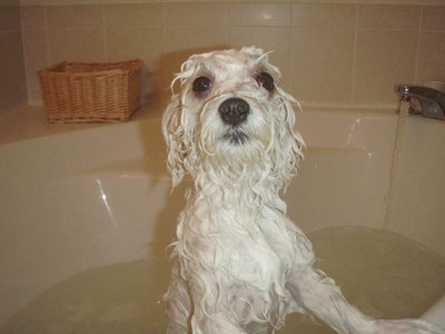 MAX BATH.JPG
