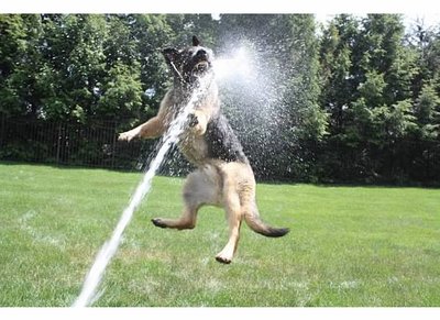 ry=400[3].jpg