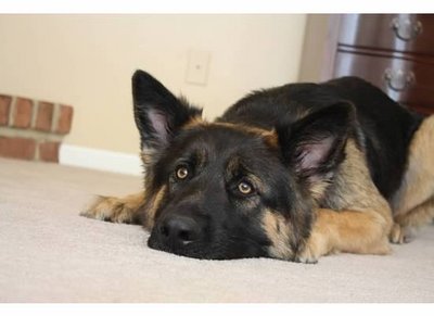 ry=400[1].jpg