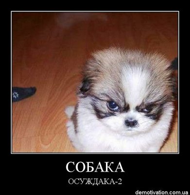 wqYKvbHVq94.jpg