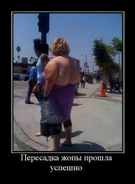 images.jpg