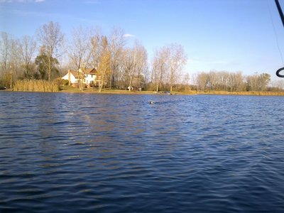 21102012817.jpg