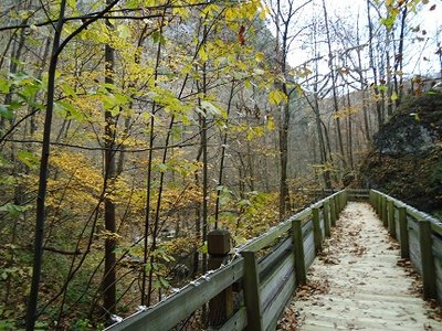 tunnel park-2 029-1.jpg