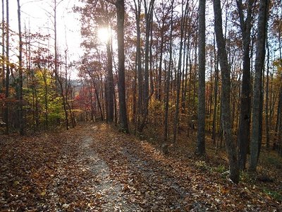 tunnel park-2 050-3.jpg