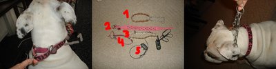 DSC04102-horzd.jpg