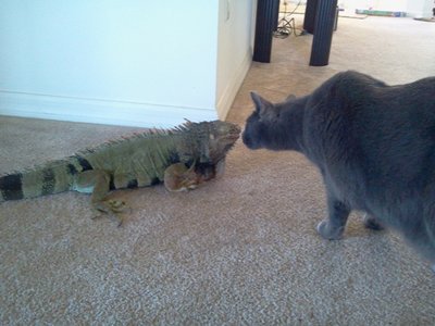 2012-10-29 13.15.16small.jpg