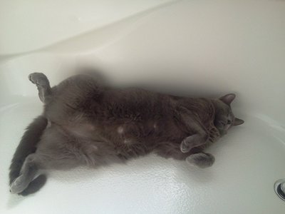 2012-10-31 12.07.26small.jpg