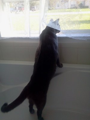 2012-11-03 14.45.57small.jpg