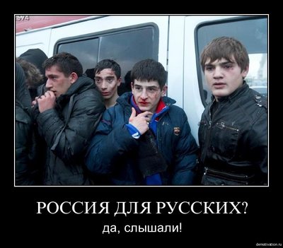 ynqbx7jlzf7v.jpg