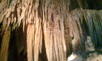 2012-09-29 14.51.49.jpg