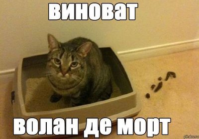 fS0xd8xcYQs.jpg