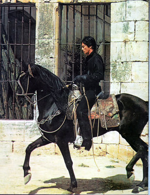 el_zorro__jpg_.jpg