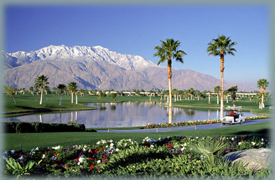 Palm-Springs.jpg