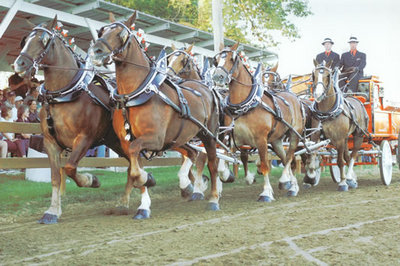 Еду на праздник.jpg