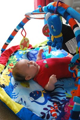 DSC_0787small.jpg