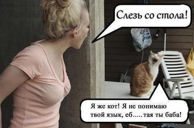 lol5.jpg
