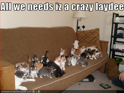 cats2.jpg