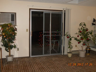 Christmas'12 005.jpg