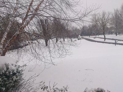 DSC_0391.jpg