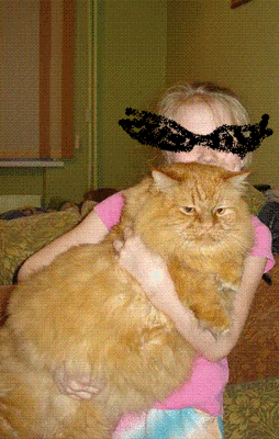 New Picture1.gif