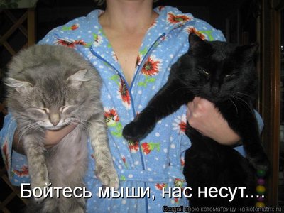 1053759.jpg