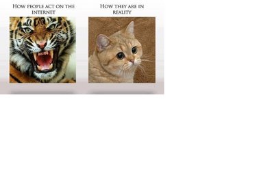 Untitled.jpg