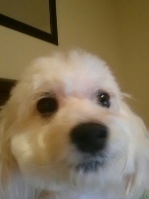 20121217_214134_resized_2.jpg