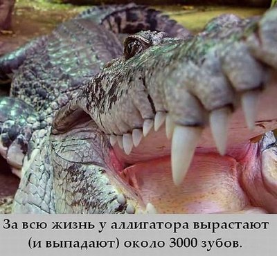 getImage (74).jpg