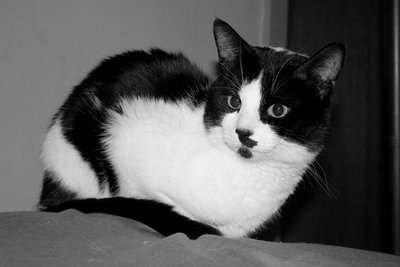 79.jpg