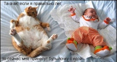Uacv_Me07m4.jpg