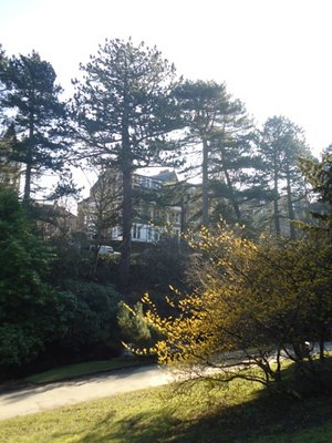 harrogate uk 442.JPG