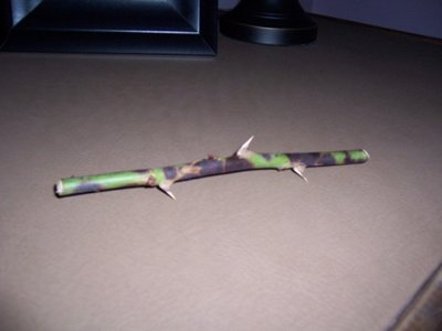 100_8085.jpg