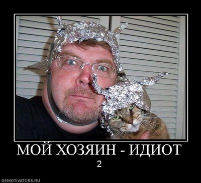 450461_moj-hozyain-idiot.jpg