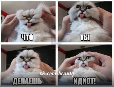 jG2UxZ7zzL4.jpg