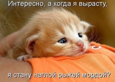 f5QjJEpmho0.jpg