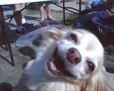 1356702453_animals_22.jpg