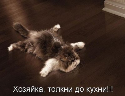 9oS3kKB50T4.jpg